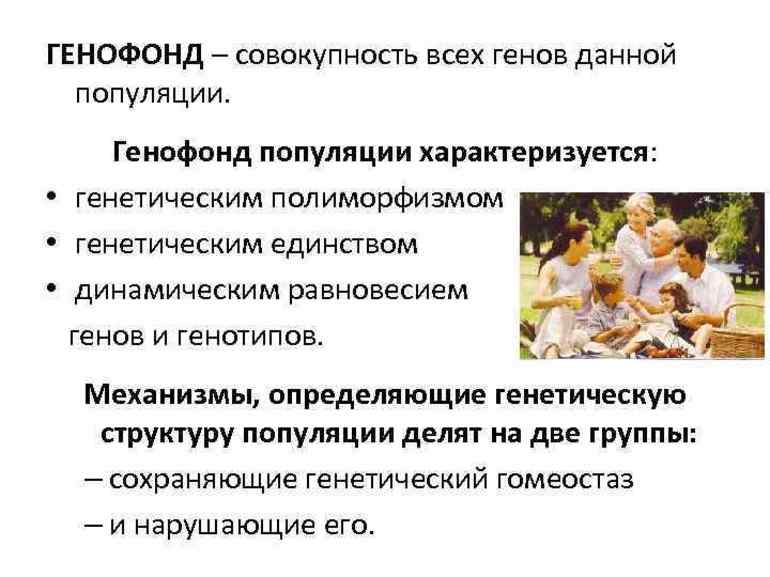 Схожесть супругов не повлияла на генофонд