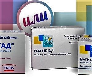 magnij-i-magnij-v6-v-chem-raznica