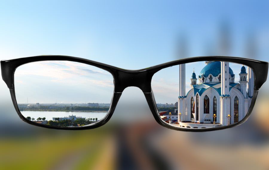 Как видит человек: устройство органов зрения
