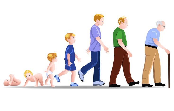 Общее понятие схемы тела ребенка: этапы развития